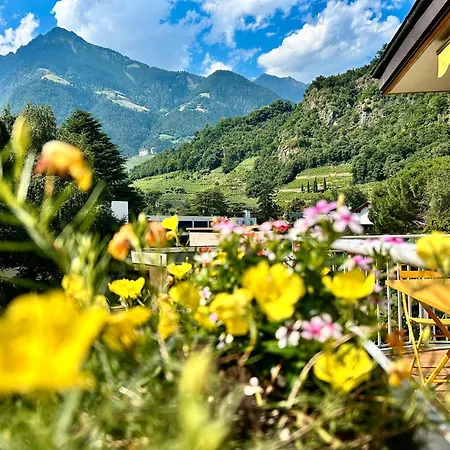 Appartement Sabine - Sabine